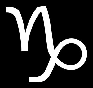 Capricorn Zodiac Sign Logo Car Astrological Astrology Sticker Decal 4" White vc