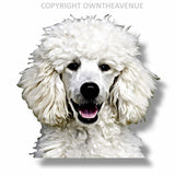 Poodle Dog Animal Puppy Peeking Vinyl Die Cut Car Window Bumper Decal Sticker