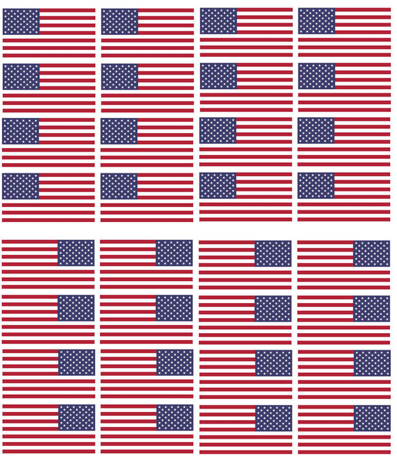 x12 Reversed & 12 Regular American Flag 2