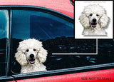 Poodle Dog Animal Puppy Peeking Vinyl Die Cut Car Window Bumper Decal Sticker