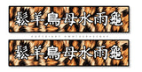 2Pcs Cheetah Print Kanji Japanese Drifting Racing Box Vinyl Stickers 6" - OwnTheAvenue