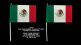 2 Pack Mexico Mexican Flag / Flags - 5.5" x 8.1" Each