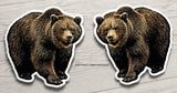 2Pcs Brown Grizzly Bear Animal Car Truck Bumper Laptop Sticker Decal 3.5"
