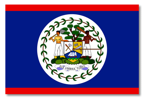 Belize Flag Car Truck Window Bumper Laptop Cup Cooler Vinyl Sticker Decal 4