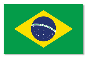 Brazilian Flag brazil bra ba car truck window bumper vinyl sticker decal 4"