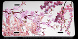 Cherry Blossoms Flowers Car Truck SUV License Plate