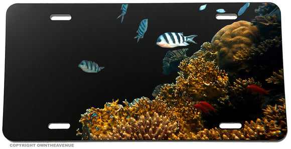 Ocean Coral Reef Beach Sea Fishing Fish Beach License Plate Cover - OwnTheAvenue