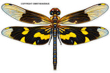2 Pack Dragon Fly Dragonfly Groovy Style Holographic Sticker Decals 3.5"
