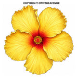 x2 Hawaiian Hibiscus Flower Vinyl Sticker Decals Model V01