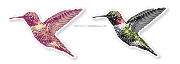 2 Pack - Hummingbirds Car Truck Laptop Bumper Vinyl Sticker Decals 4