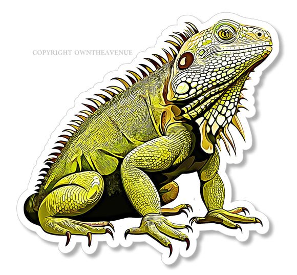 Iguana Green Car Truck Window Bumper Laptop Cup Cooler Vinyl Sticker Decal 3.5