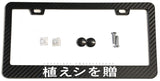 Kanji Japanese Script JDM Racing Carbon Fiber License Plate Frame - OwnTheAvenue