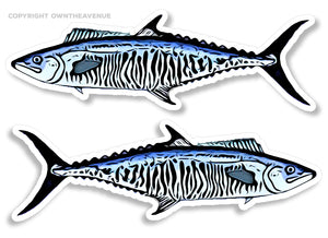 King Mackerel V2 Striped Fishing Fish RV Camping Car Truck Sticker Decal 4"