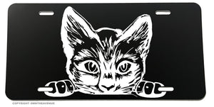 Peeking Sneaky Kitty Cat Funny Joke Humor Auto License Plate