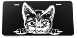 Peeking Sneaky Kitty Cat Funny Joke Humor Auto License Plate