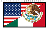 4Pcs Mexico Mexican USA American World Country Flags Sticker Decals 3" - OwnTheAvenue