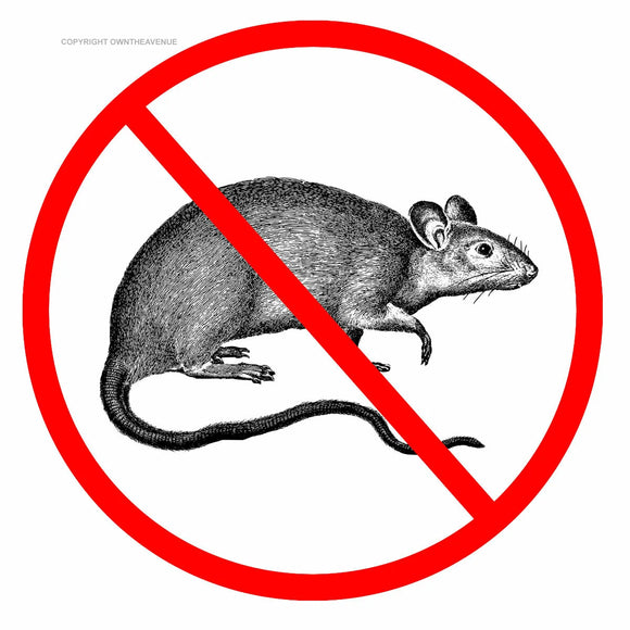 6 Pack No Rats Construction Hardhat Toolbox Funny Vinyl Sticker Decal 2