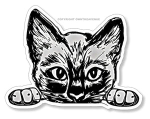 Peeking Sneaky Kitty Cat Funny Joke Humor Car Truck Vinyl Sticker Decal 5"