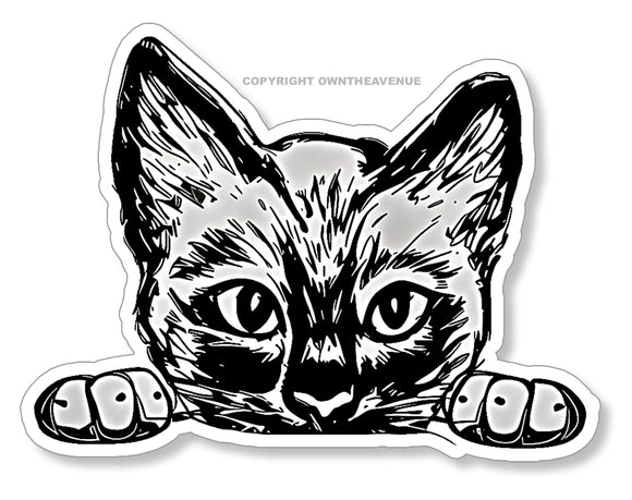 Peeking Sneaky Kitty Cat Funny Joke Humor Car Truck Vinyl Sticker Decal 5