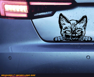 Peeking Sneaky Kitty Cat Funny Joke Humor Car Truck Vinyl Decal 7"