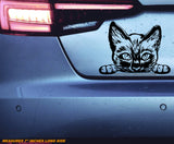 Peeking Sneaky Kitty Cat Funny Joke Humor Car Truck Vinyl Decal 7"
