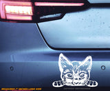Peeking Sneaky Kitty Cat Funny Joke Humor Car Truck Vinyl Decal 7"