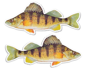 2 Pack - Perch Fish Fishing Great Outdoors Animal Vinyl Sticker Decals 4" Each