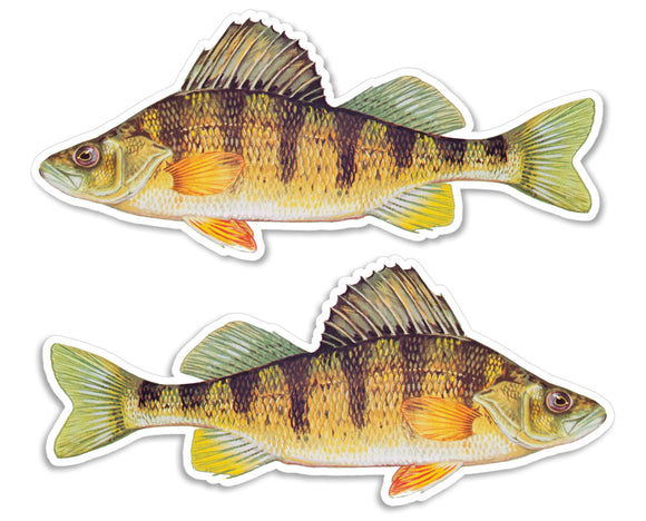 2 Pack - Perch Fish Fishing Great Outdoors Animal Vinyl Sticker Decals 4