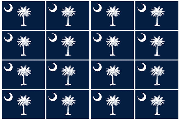 12Pcs South Carolina Flags Vinyl Sticker Decals - 2