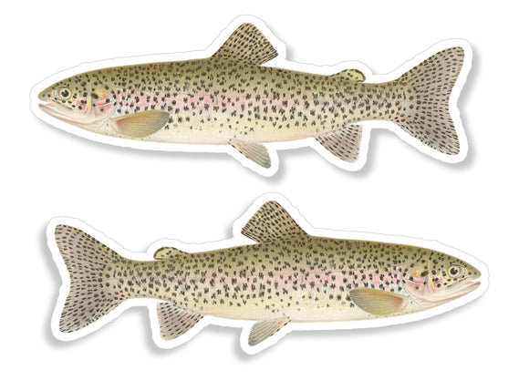 2x fish boat kayak canoe fishing steelhead vinyl sticker decal 4