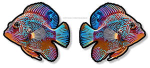 2 Pack - Tropical Fish Fishing Model-PrBl Car Truck Vinyl Sticker Decals - OwnTheAvenue