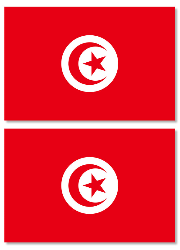 2Pcs Tunisia World Country Flag Car Truck Laptop Vinyl Sticker Decal 3.5