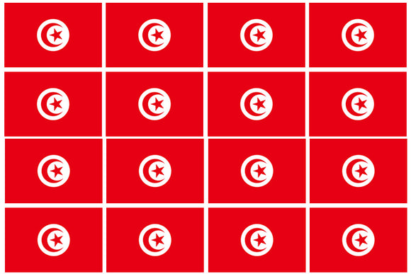 12Pcs Tunisia World Country Flags Vinyl Sticker Decals - 2