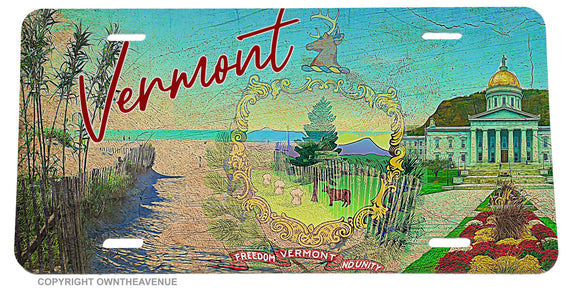 Vermont Souvenir Vintage Grunge Retro License Plate Cover - OwnTheAvenue