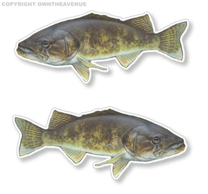 x2 Walleye Fishing RV Boat Car Truck Camper Trailer Vinyl Sticker Decal 4" - OwnTheAvenue