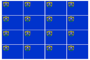 x12 Nevada NV State Flag Car Truck Window Bumper Cup Cooler Laptop Sticker Decal - OwnTheAvenue