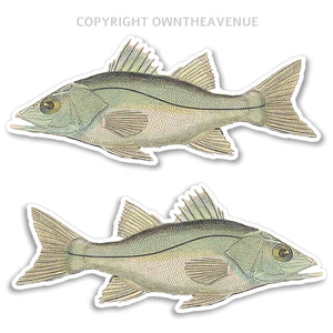 Snook Fish Fishing RV Boat Car Truck Camper Trailer Bumper Vinyl Sticker Decals - OwnTheAvenue