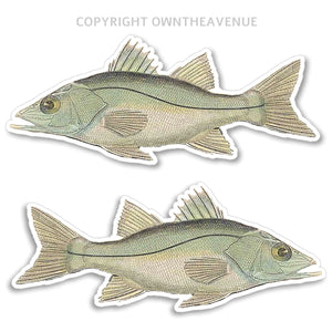 Snook Fish Fishing RV Boat Car Truck Camper Trailer Bumper Vinyl Sticker Decals