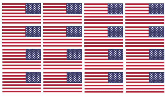 x12 Reversed American Flag 2