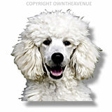 Poodle Dog Animal Puppy Peeking Vinyl Die Cut Car Window Bumper Decal Sticker - OwnTheAvenue