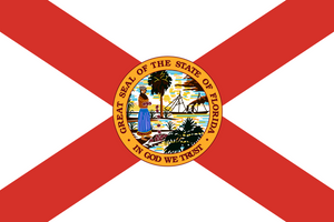 Florida FL Flag Vinyl Sticker Choose Size - OwnTheAvenue