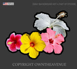 Hawaiian Hawaii HI Hibiscus Flowers Sticker Car Window Truck Vinyl Decal 4" V-M9 - OwnTheAvenue