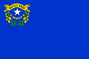 Nevada NV State Flag Car Truck Window Bumper Cup Cooler Laptop Sticker Decal 4"