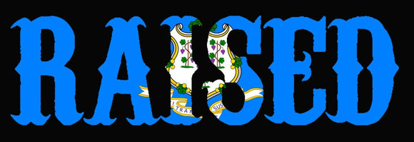Connecticut CT Raised Flag Vinyl Sticker - OwnTheAvenue