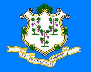 Connecticut CT Flag Vinyl Sticker Choose Size - OwnTheAvenue