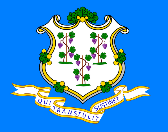 Connecticut CT Flag Vinyl Sticker Choose Size - OwnTheAvenue