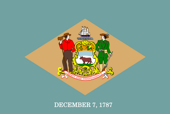 Delaware DE Flag Vinyl Sticker Choose Size - OwnTheAvenue