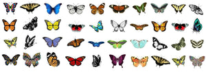 Butterfly Insects 40 Pack Lot Car Truck Window Bumper Cup Vinyl Stickers 2"