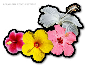 Hawaiian Hawaii HI Hibiscus Flowers Sticker Car Window Truck Vinyl Decal 4" V-M9