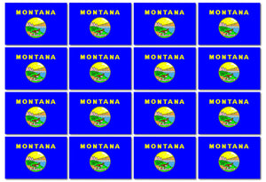 x12 Montana MT State Flag Car Truck Window Bumper Laptop Cooler Decal Sticker